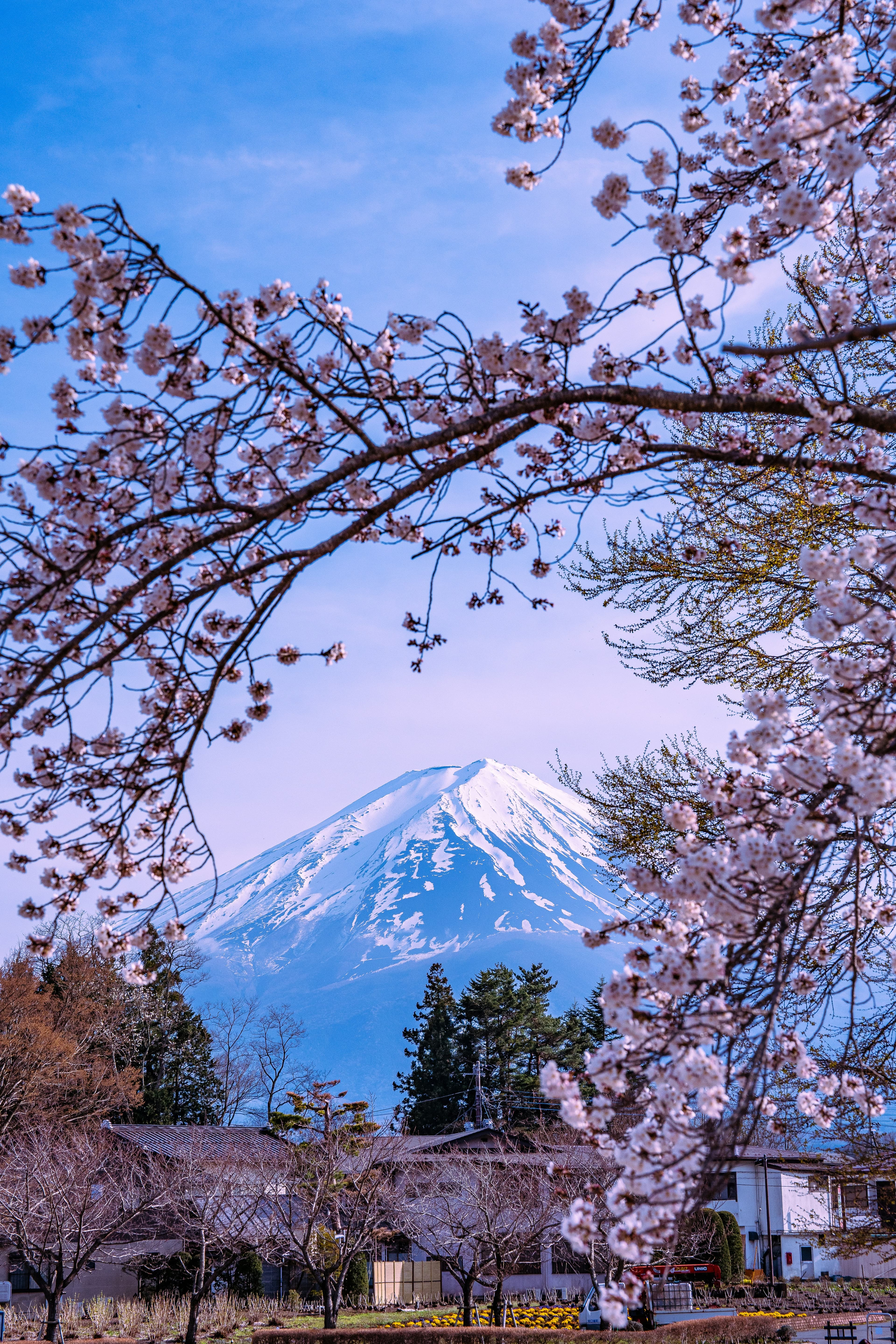 Brew in Japan 3