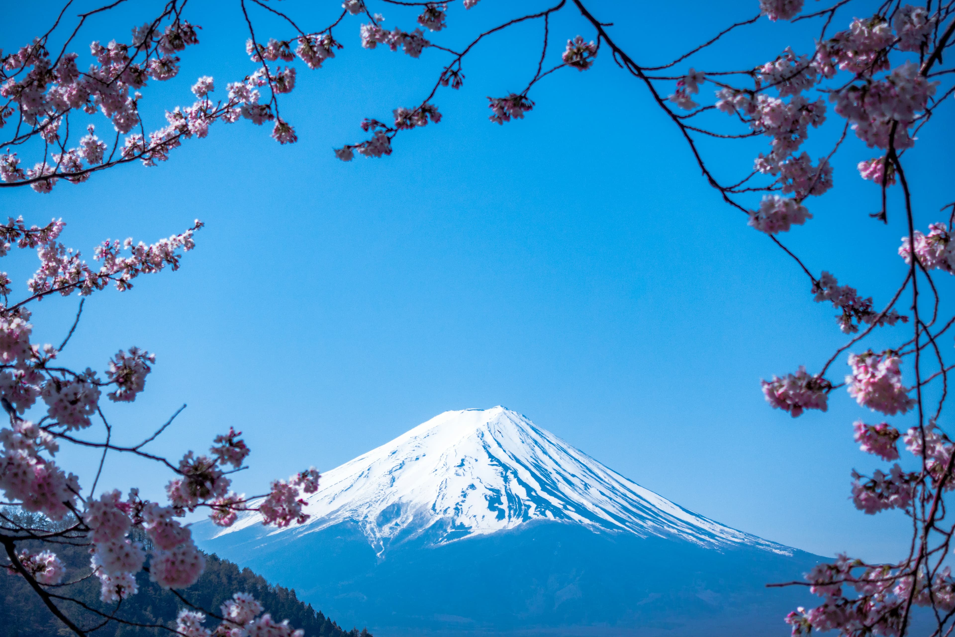 Brew in Japan 1