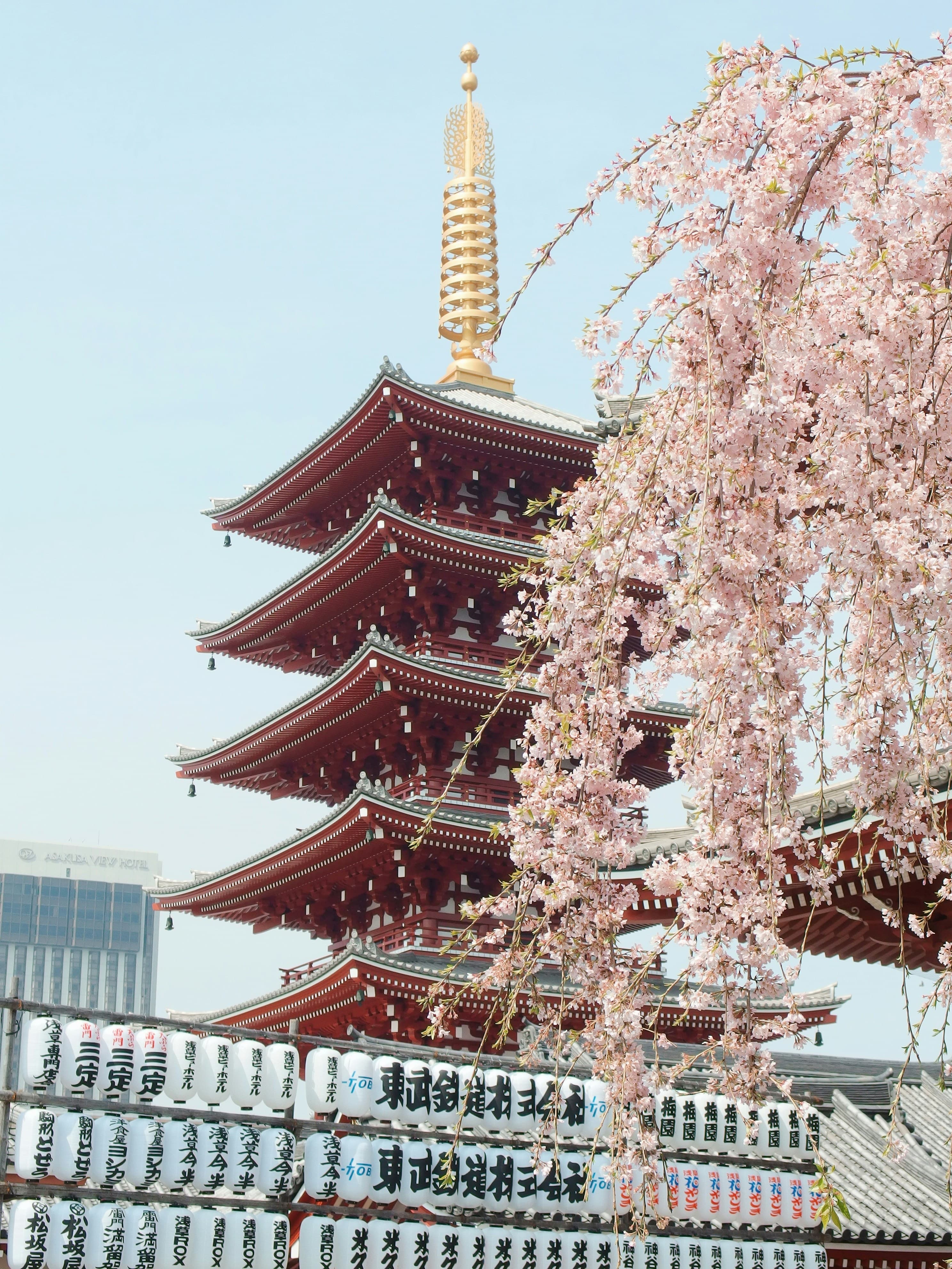 Brew in Japan 2