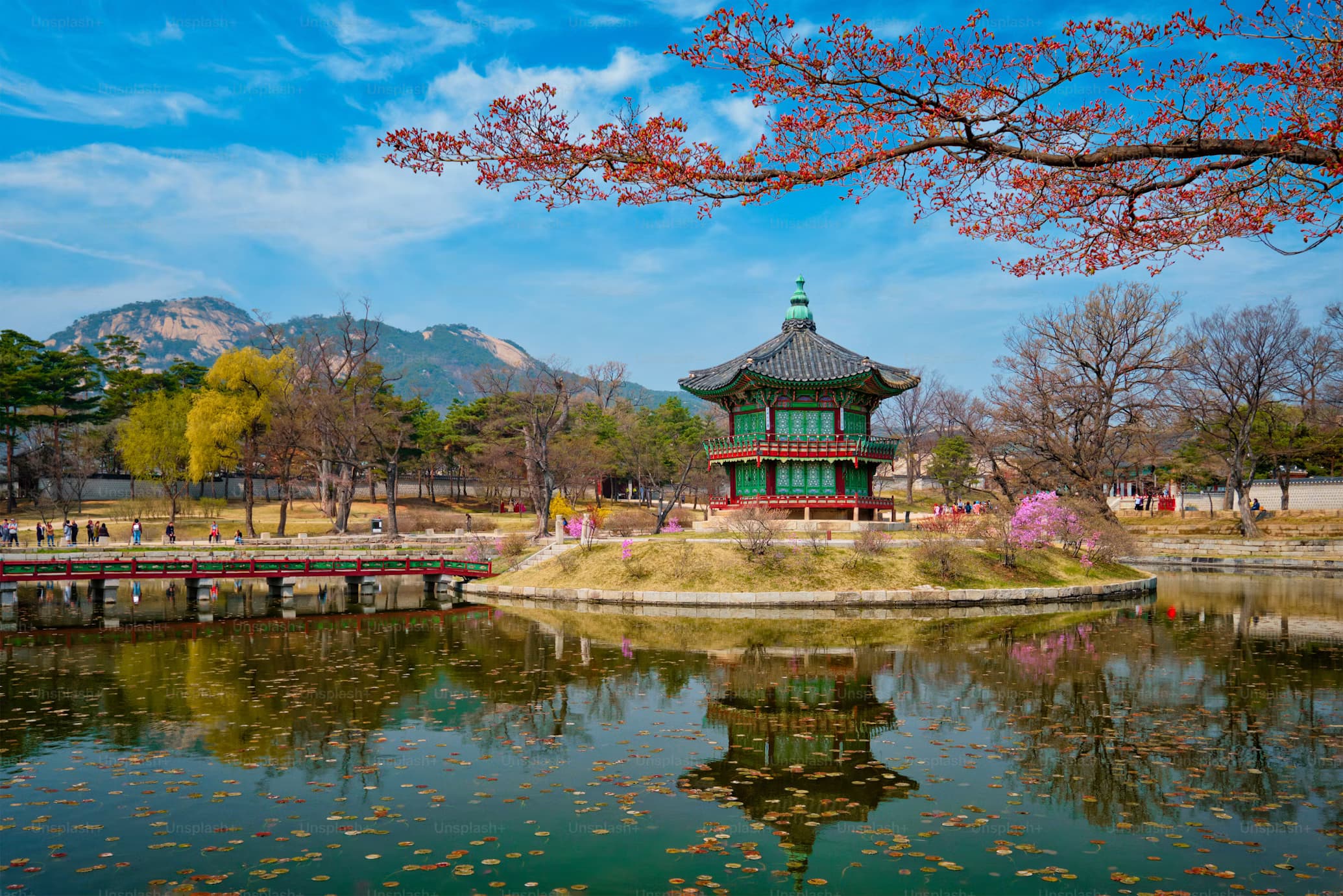 Brew in South Korea