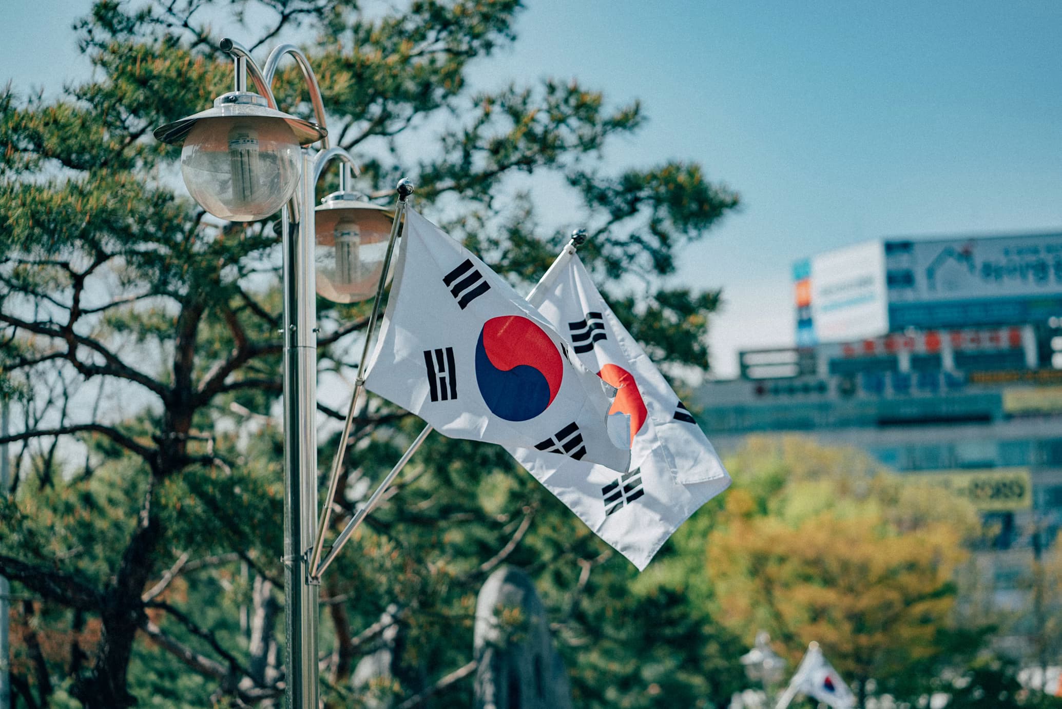 Brew in South Korea 1