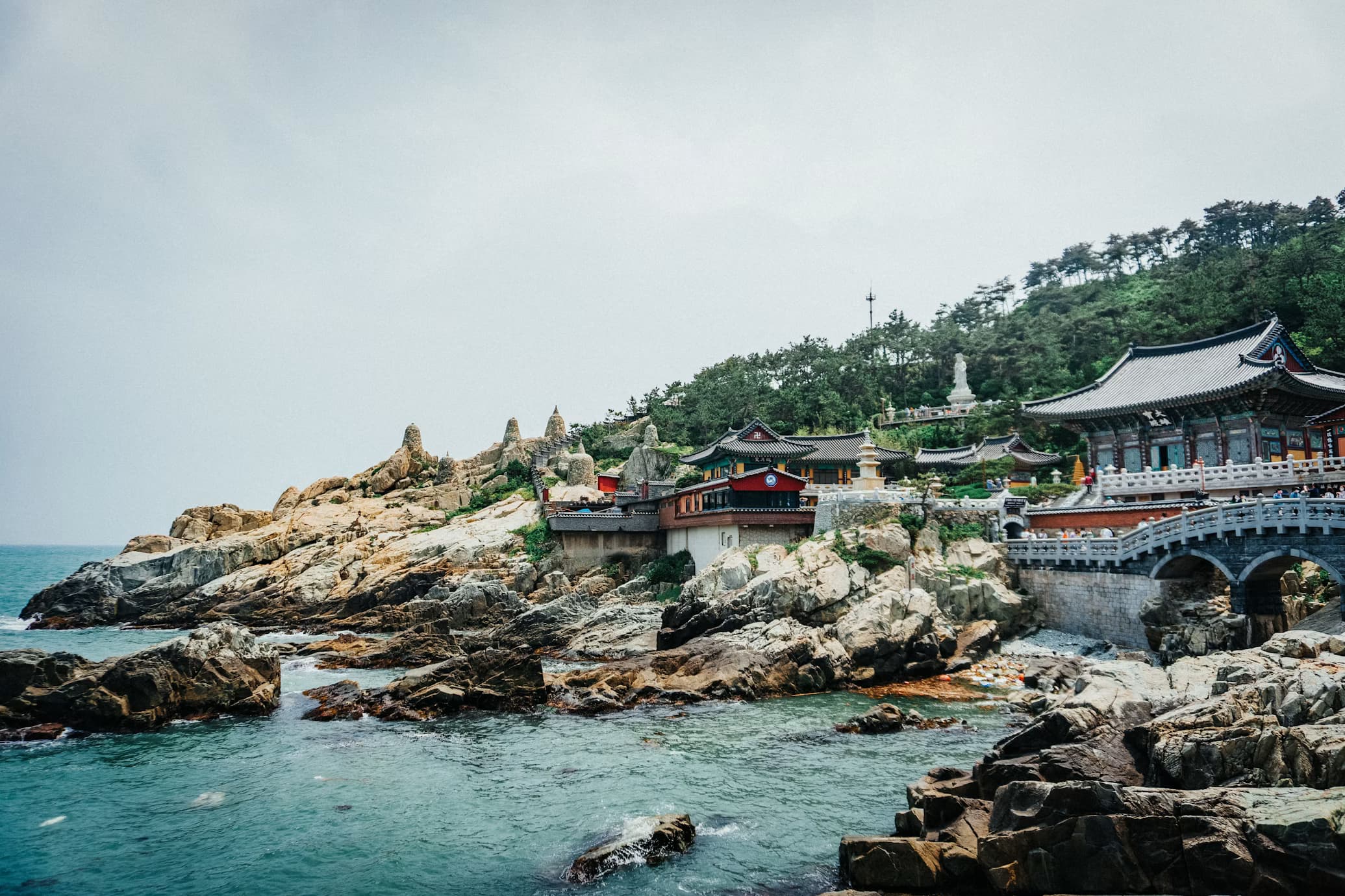 Brew in South Korea 3